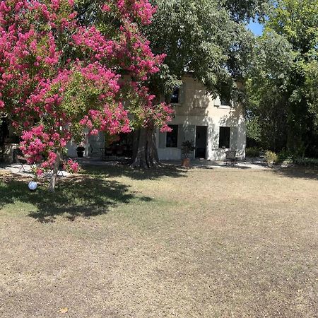 Alpilles Camargue Mas Falabrego Raphele Экстерьер фото