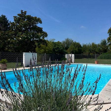 Alpilles Camargue Mas Falabrego Raphele Экстерьер фото