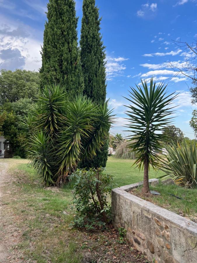Alpilles Camargue Mas Falabrego Raphele Экстерьер фото