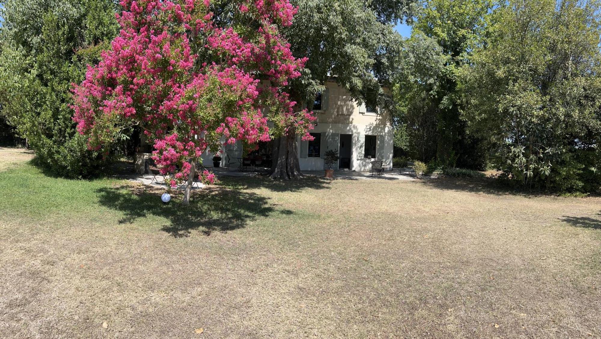 Alpilles Camargue Mas Falabrego Raphele Экстерьер фото