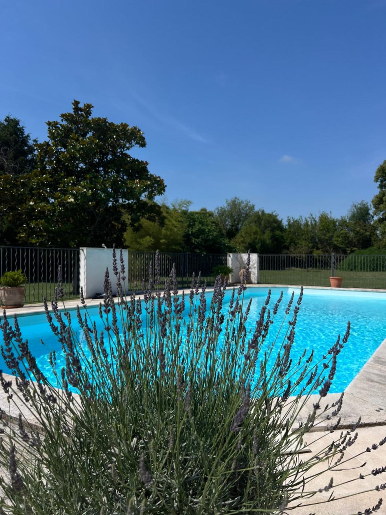 Alpilles Camargue Mas Falabrego Raphele Экстерьер фото